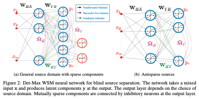 The existing biologically plausible neural network  approaches to solve the blind source separation problem typically assume independence/uncorrelatedness of sources. In our article, we propose an alternative framework that is capable of separating correlated sources.