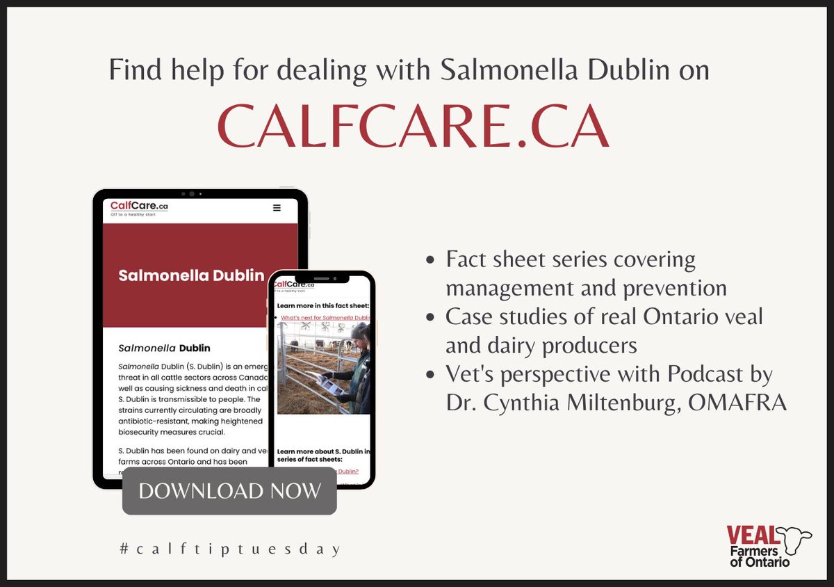 CalfCareCorner's tweet image. Experiencing an S. Dublin outbreak or looking for ways to prevent one on your farm? Find resources online here bit.ly/SDublin and join us for #HCC2022 to learn more.

Register here: hcc2022.eventbrite.ca

#ontag #OntVeal