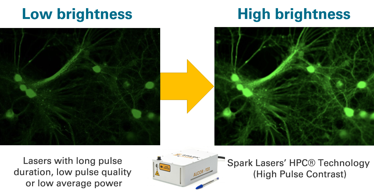 Laser2000GmbH's tweet photo. Key technology to achieve unmatched imaging performance. 
New generation of Spark Lasers ALCOR 920 with HPC® Technology (High Pulse Contrast).
The maximum available power and fiber coupling option still remains!
More: https://t.co/VO8cgkijS1
#biophotonic #experts #fluorescence https://t.co/ReFXFlR1M5