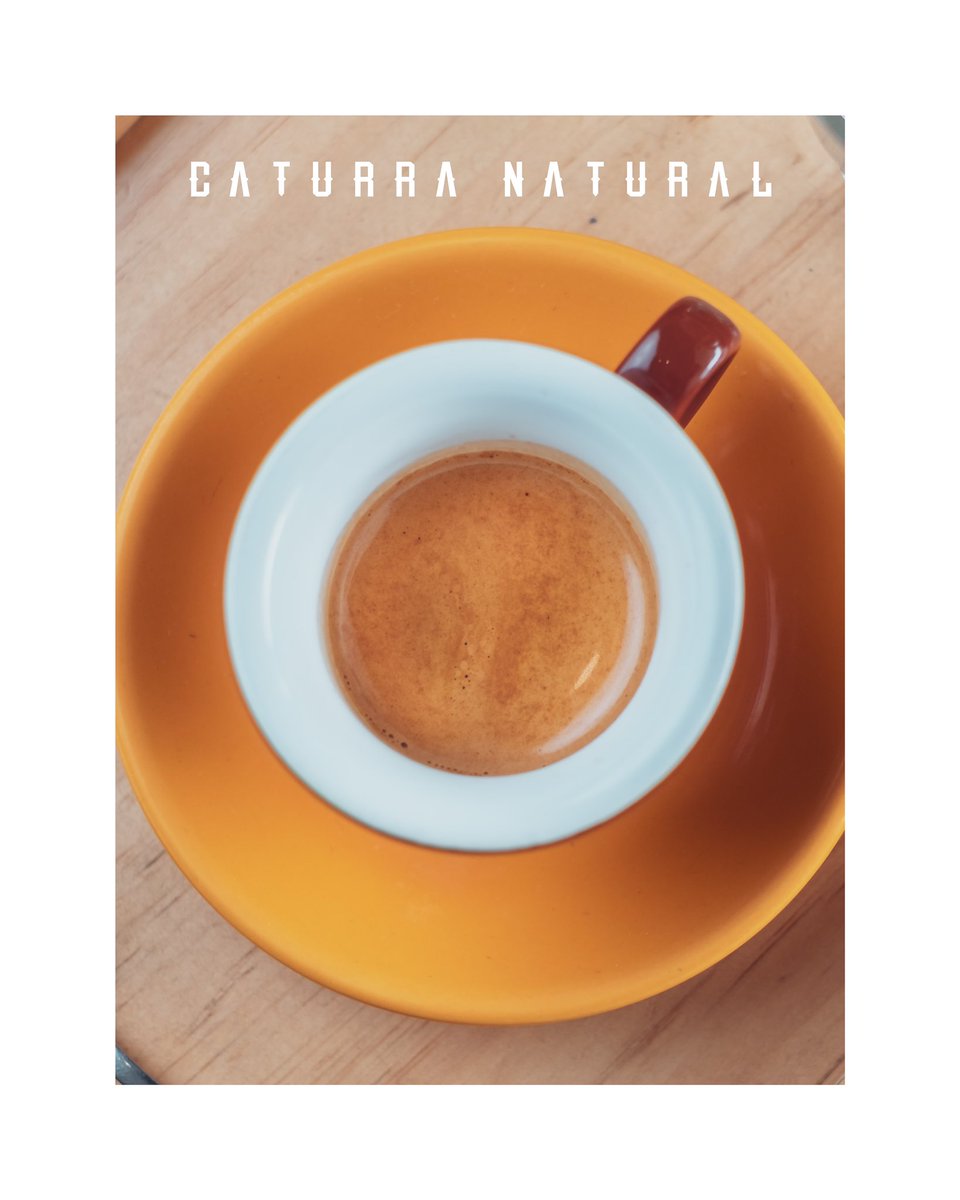 OrigenTC's tweet photo. Hoy tenemos espressos de variedad Caturra con proceso natural en nuestras 3 tiendas☕️🔥🔥🔥
#soloporhoy #caturranatural #naturalprocess #cafesespeciales #variedadcaturra #specialtycoffee https://t.co/aK2HObruPG