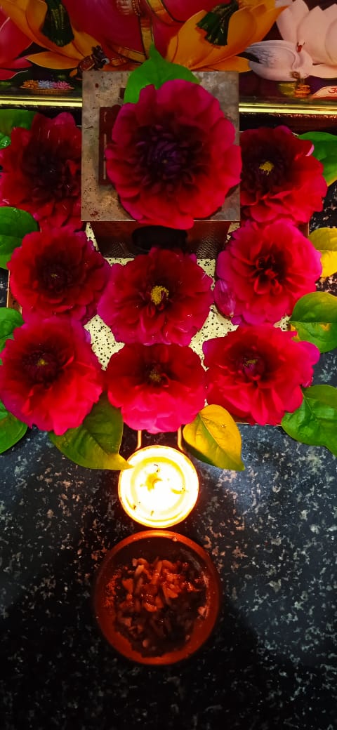 Priya12683's tweet photo. Pleasant Pink Devi...
For pleasant world #Savesoil https://t.co/KTXcdsMntY