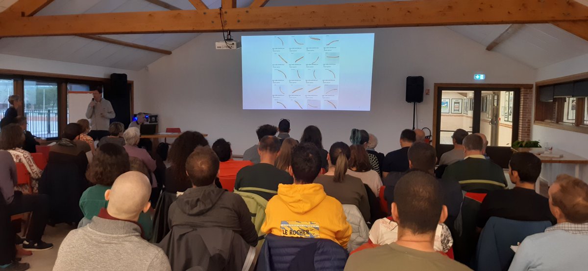 EntomoCentre tweet media