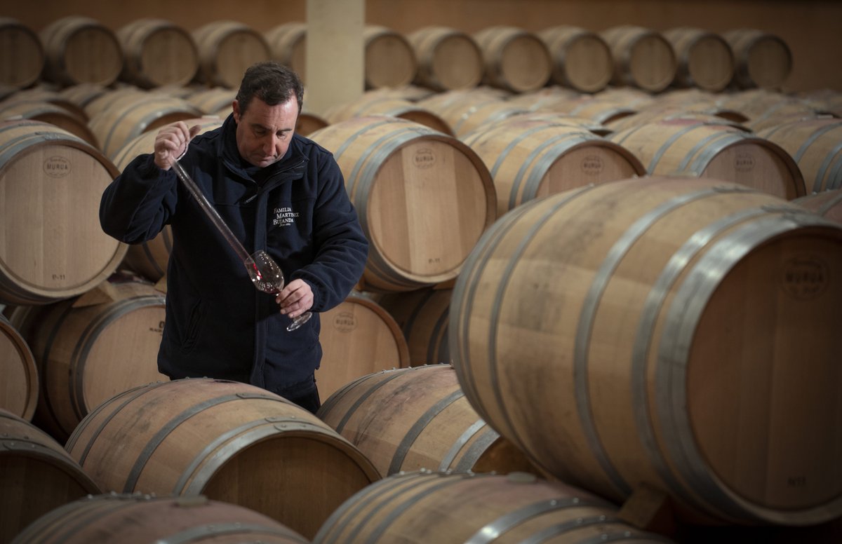 ¿Sabes que el viticultor y el enólogo son los encargados de decir el momento idóneo para realizar la vendimia? Este será clave en el sabor y calidad del fututo vino.

Pásate por nuestro blog y conoce todas las claves de la vendimia.

entrevinosypagos.com/claves-vendimi…