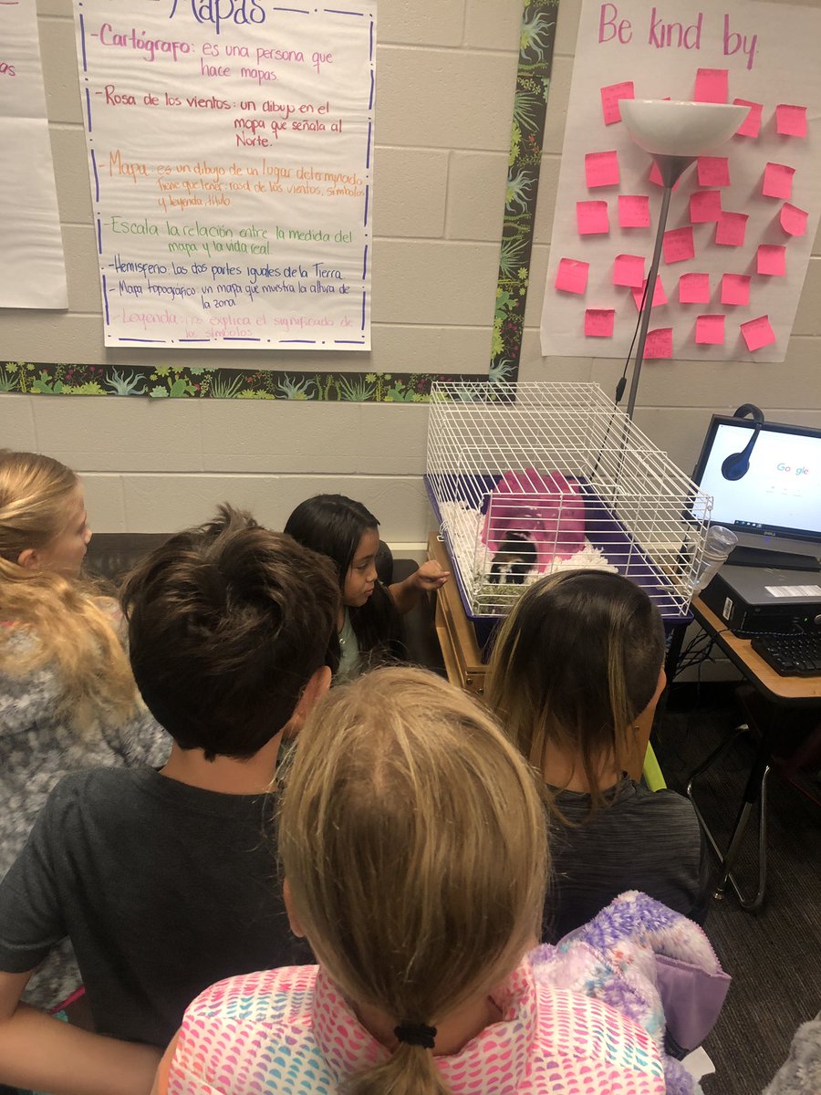 When pets comes to visit, the crow and noise control is amazing! Thank you J for bringing Chunky and Fluffy to visit <a href="/HumbleISD_BBE/">Bear Branch Elem</a>
