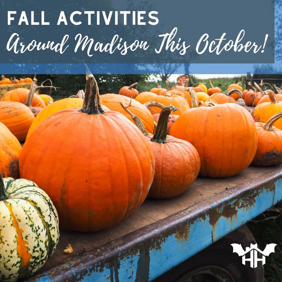 Hansen_HomeTeam's tweet photo. Are you as excited for fall activities as we are?! 

October 1st is this Saturday and there are tons of events and activities to do with the family all month. 
Check out our latest blog post to get ideas for this spooky season! See the blog post here: https://t.co/wV8NkBiGn4 https://t.co/ynktdolkMt
