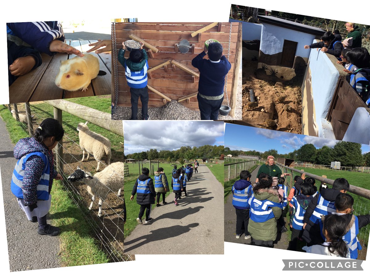 High Hazels Academy Y3 tweet media