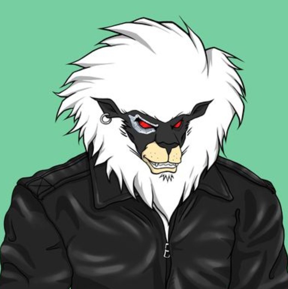 Alex 🥷 tweet media