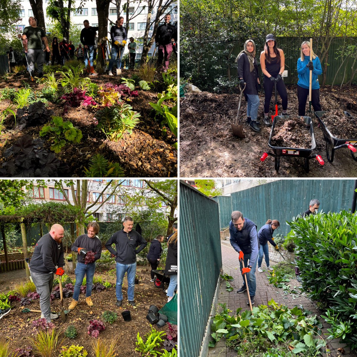 What a great team from <a href="/AvisonYoung/">Avison Young</a> <a href="/AYUKViews/">Avison Young | UK</a> volunteering at Lisson Grove today, one of 14 events organised for AY today across London by <a href="/GroundworkLON/">Groundwork London</a> <a href="/groundworkuk/">Groundwork UK</a> 
#DayofGiving2022
#AYDayofGiving 
#AYDifference 
#makegoodthingshappen