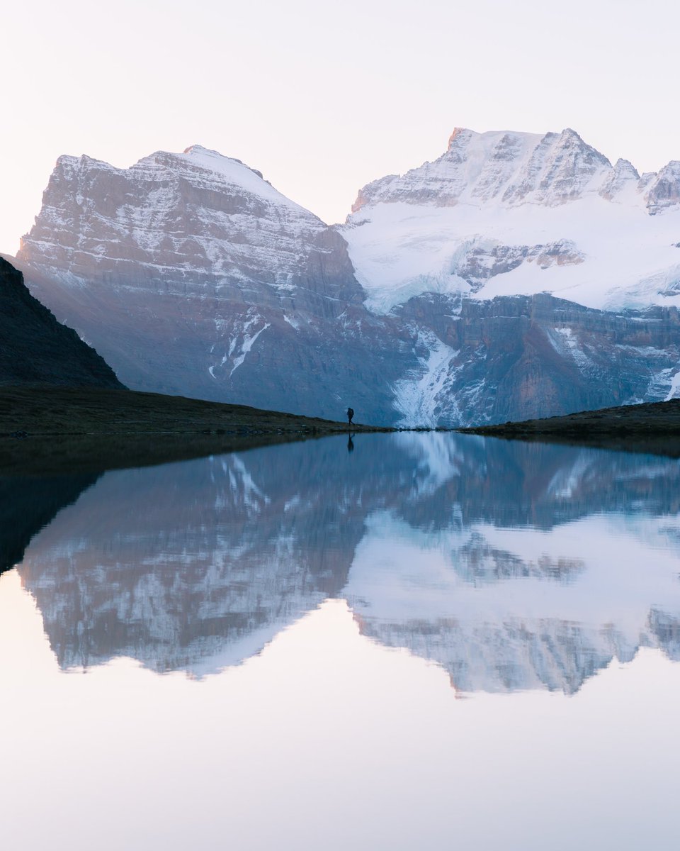 Nathanael Billings tweet media