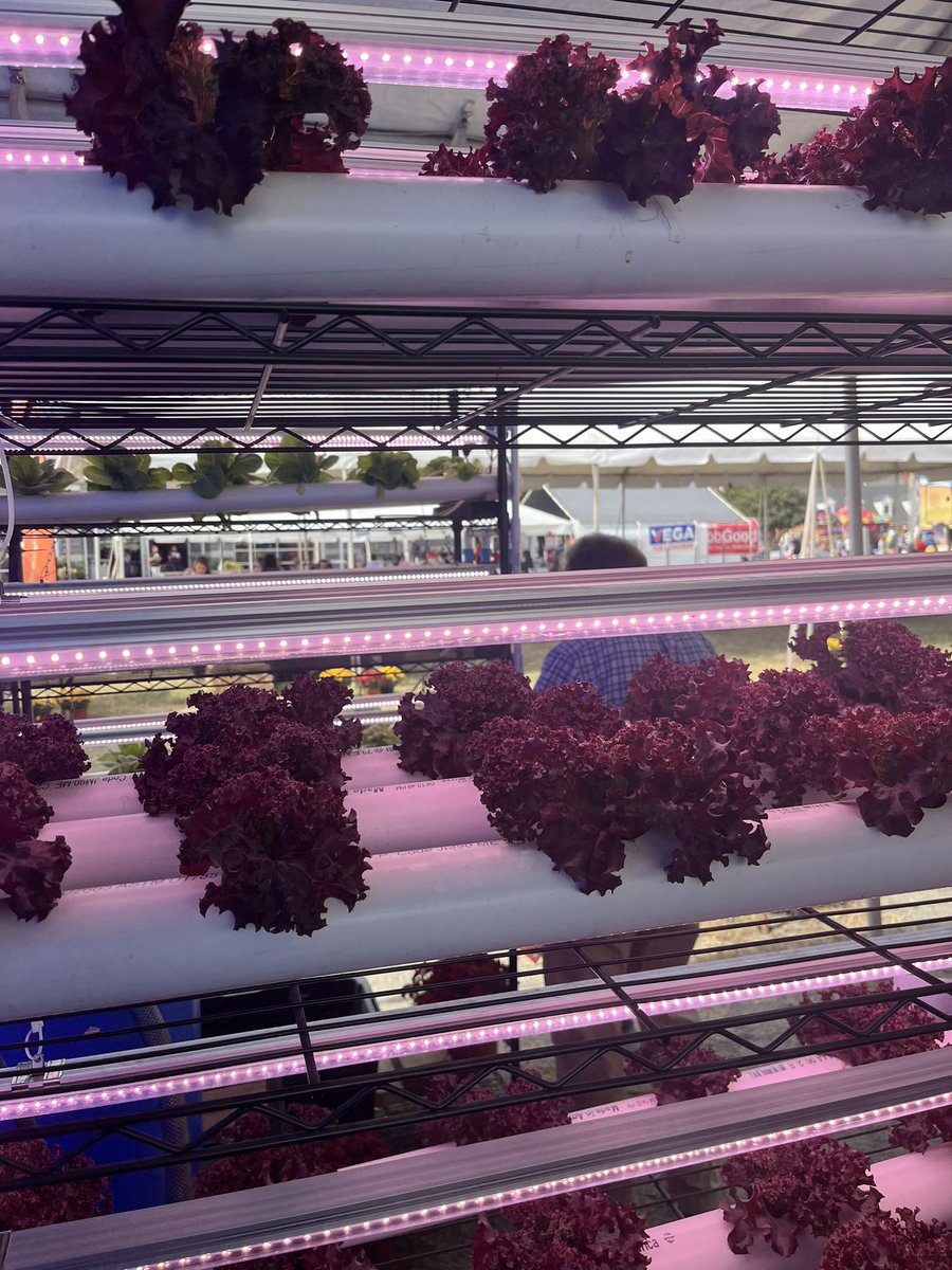 Great day for CTSO day at the <a href="/StateFairVA/">State Fair of VA</a> <a href="/TDHS_CTE/">CTE at Thomas Dale High School</a>