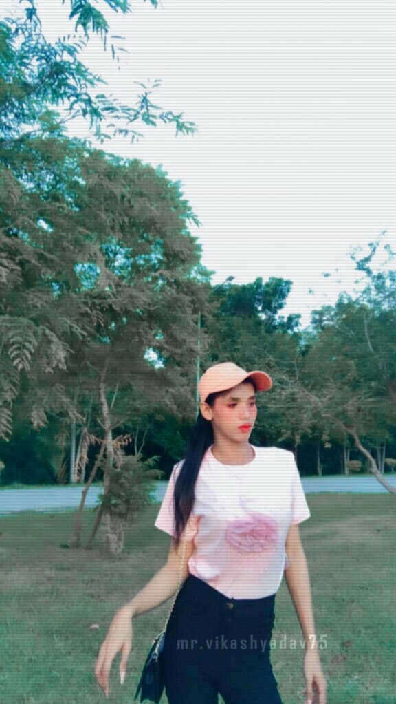 วี วีนัส tweet media