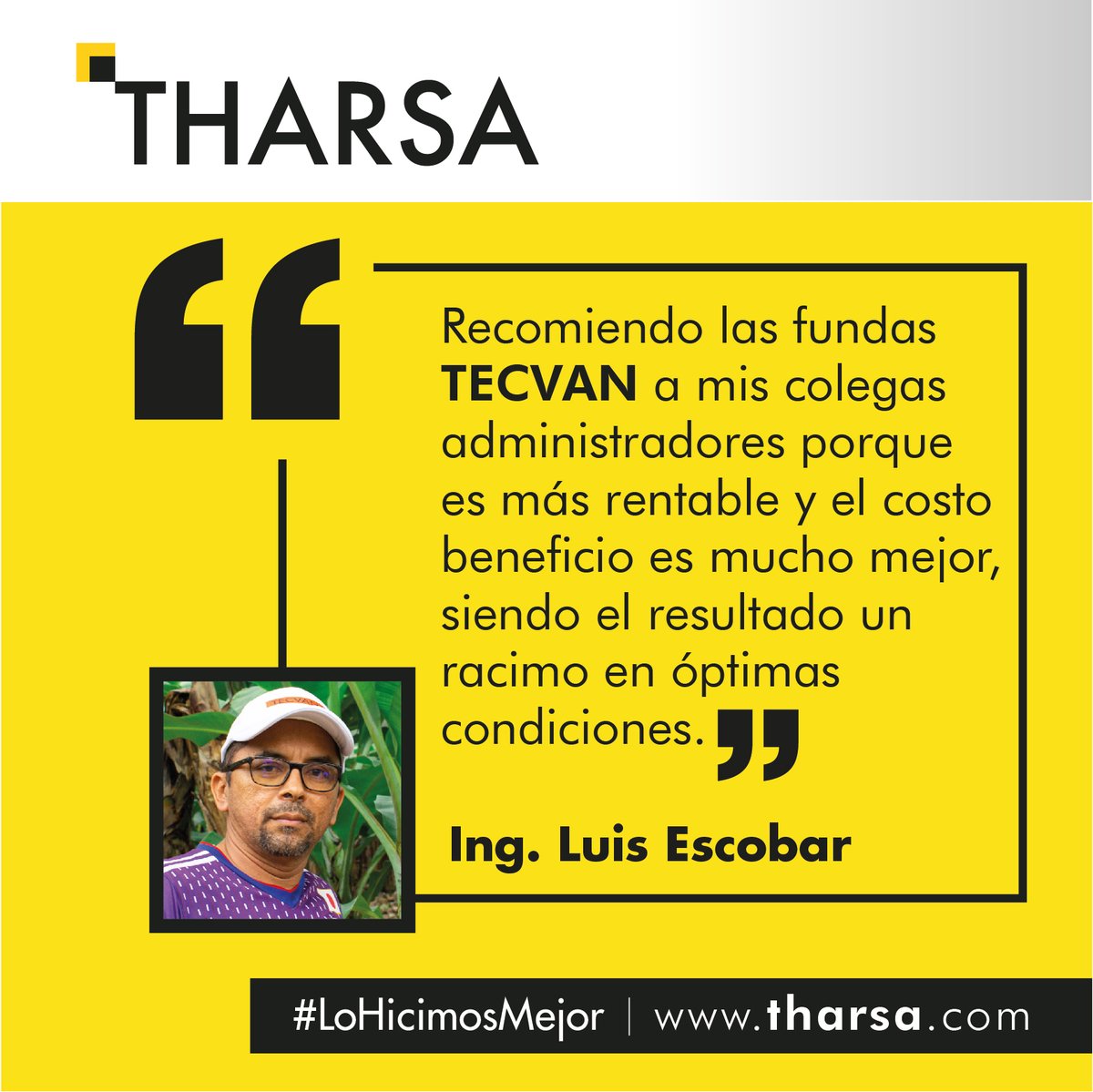 tharsaec's tweet photo. El Ing. Luis Escobar nos cuenta su experiencia con el uso de las fundas insecticidas #TECVAN para el control de las plagas del racimo, él las ha utilizado en 200 hectáreas en la zona La Unión en la provincia de Los Ríos.

#THARSA #TECVAN #POLYPRIDE #Banano #BananoEcuador https://t.co/4s0awWLguw