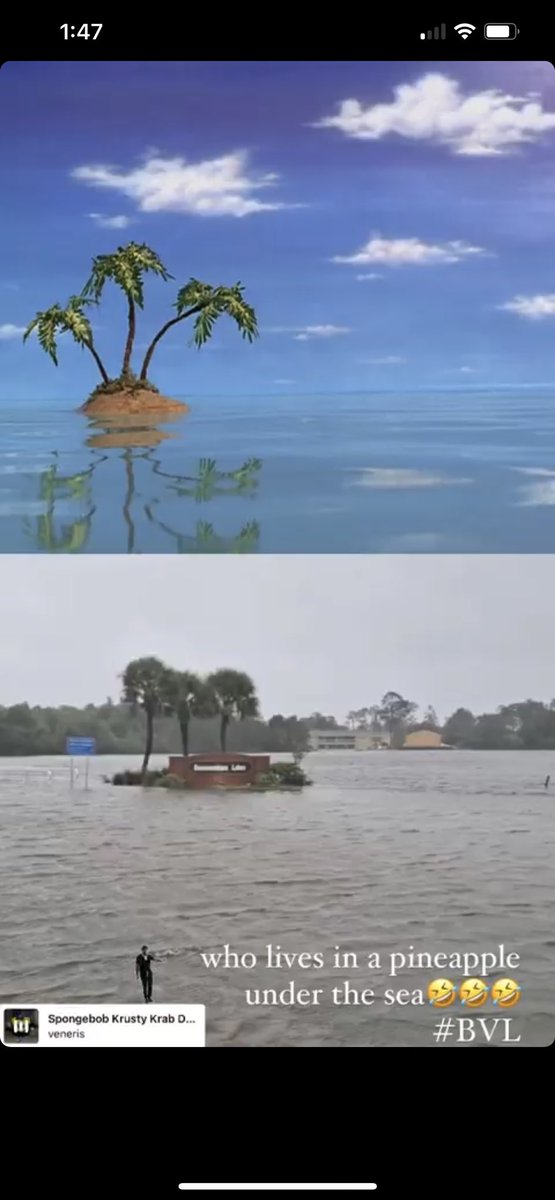 LMFAOOOO!!!! 🤣🤣🤣