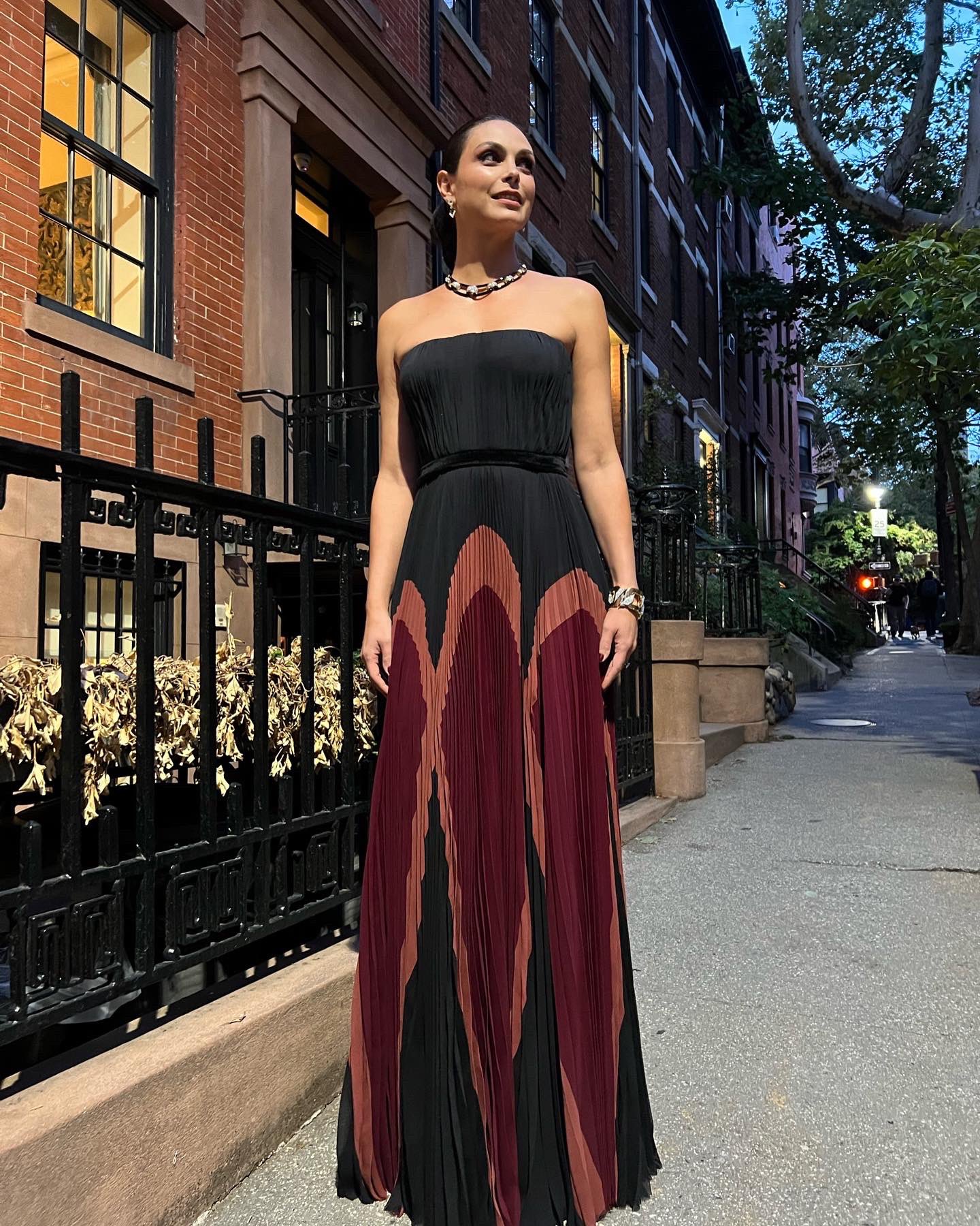 Morena Baccarin on Twitter: "The Good House premiere. In theaters