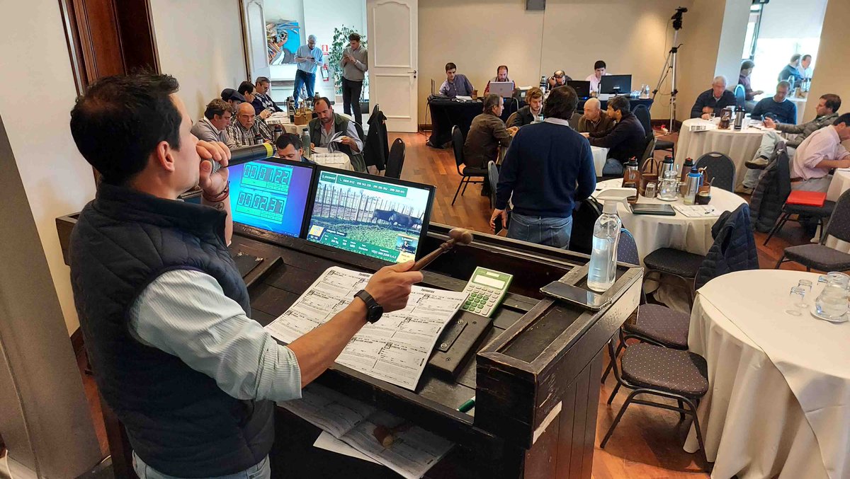 Vendiendo más del 82% de la oferta, <a href="/plazarural/">plazarural</a> dejó nuevas referencias de precios en el mercado de reposición 👇
losagronegocios.com.uy/remates/plaza-…