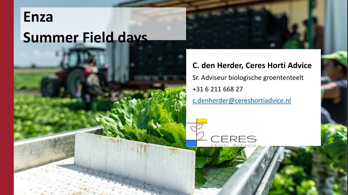 herder_c's tweet photo. Vandaag op de @enzazaden #summerfielddays een verhaal aan slatelers gedaan over #bodemweerbaar telen. Specialistische telers met smal gewassenpakket. Dan is het zoeken naar andere mogelijkheden om aan weerbaarheid en diversiteit te werken. Interessante middag! #cereshortiadvice https://t.co/33hequ6HdM