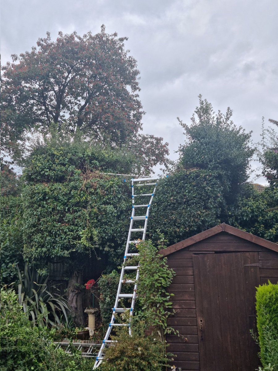 Big hedge job this morning 👍