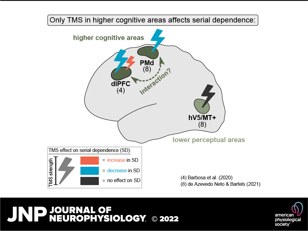 JNeurophysiol's tweet photo. Check out this Neuro Forum in #JNeurophysiol 👉Causal evidence for the higher-order origin of #SerialDependence suggests a multi-area account by Melanie Tschiersch
https://t.co/CusRs9JUkf
@MTschiersch  #TranscranialMagneticStimulation #PremotorCortex #neuroscience https://t.co/gHEWEwseLQ