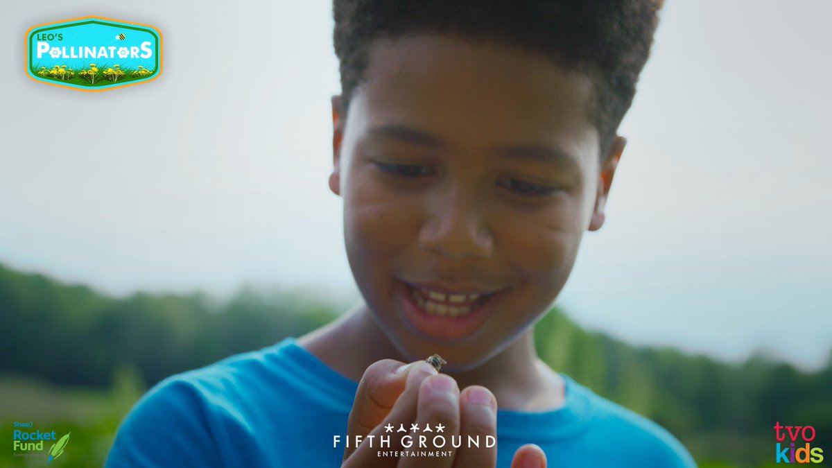 Leo's Explorer Club (@explorerclubtv) on Twitter photo Do you like carving pumpkins for Halloween, or enjoying a slice of delicious pumpkin pie? You have the Squash Bee to thank for that. The team is joining Dr. Susan Chan (@squash_bee) at Buckhorn Berry Farm to find out all about this important pollinator.
Join tonight on #TVOkids! Do you like carving pumpkins for Halloween, or enjoying a slice of delicious pumpkin pie? You have the Squash Bee to thank for that. The team is joining Dr. Susan Chan (@squash_bee) at Buckhorn Berry Farm to find out all about this important pollinator.
Join tonight on #TVOkids!