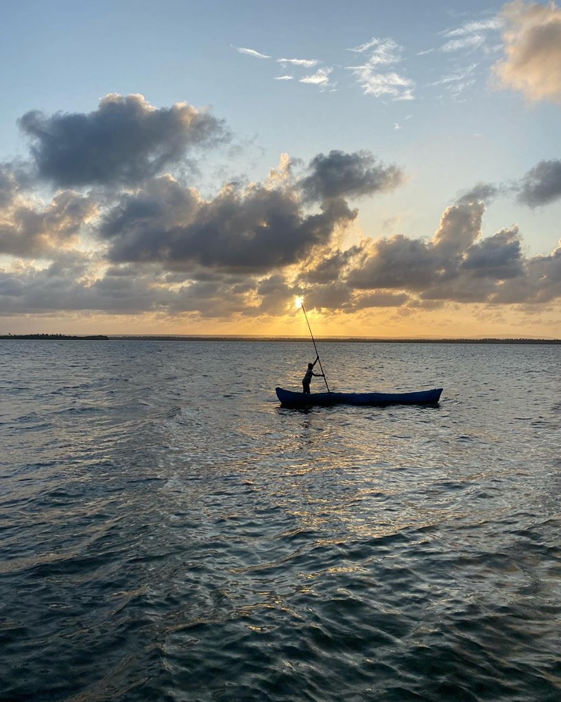 RabsFB's tweet image. Not a bad spot for octopus curry 🐙