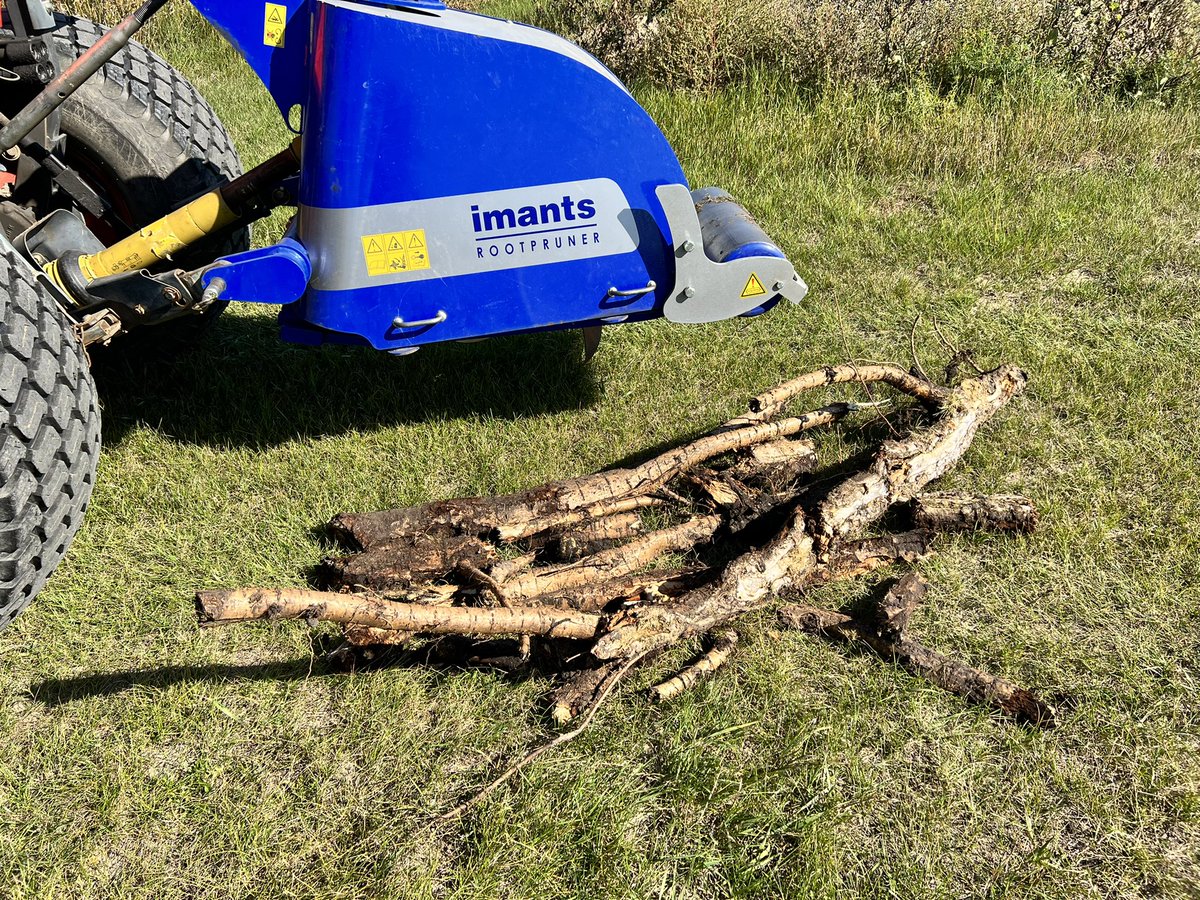 jordan joye (@jordanjoye) on Twitter photo Great day for a root prune <a href="/glenleagolf/">Glen Lea Golf Course</a>. Stubborn surface roots that clip our mower reels finally got what’s coming to them, with the added benefit of turf health. Reach out for availability and rental rates <a href="/GlenLeaTurf/">Glen Lea Turf Care</a> Great day for a root prune <a href="/glenleagolf/">Glen Lea Golf Course</a>. Stubborn surface roots that clip our mower reels finally got what’s coming to them, with the added benefit of turf health. Reach out for availability and rental rates <a href="/GlenLeaTurf/">Glen Lea Turf Care</a>