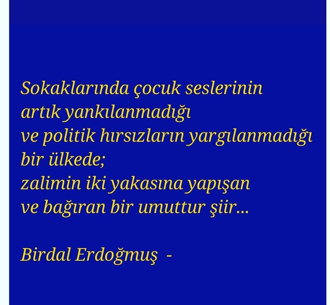 Birdal Erdoğmuş (@erdogmusbirdal) on Twitter photo 