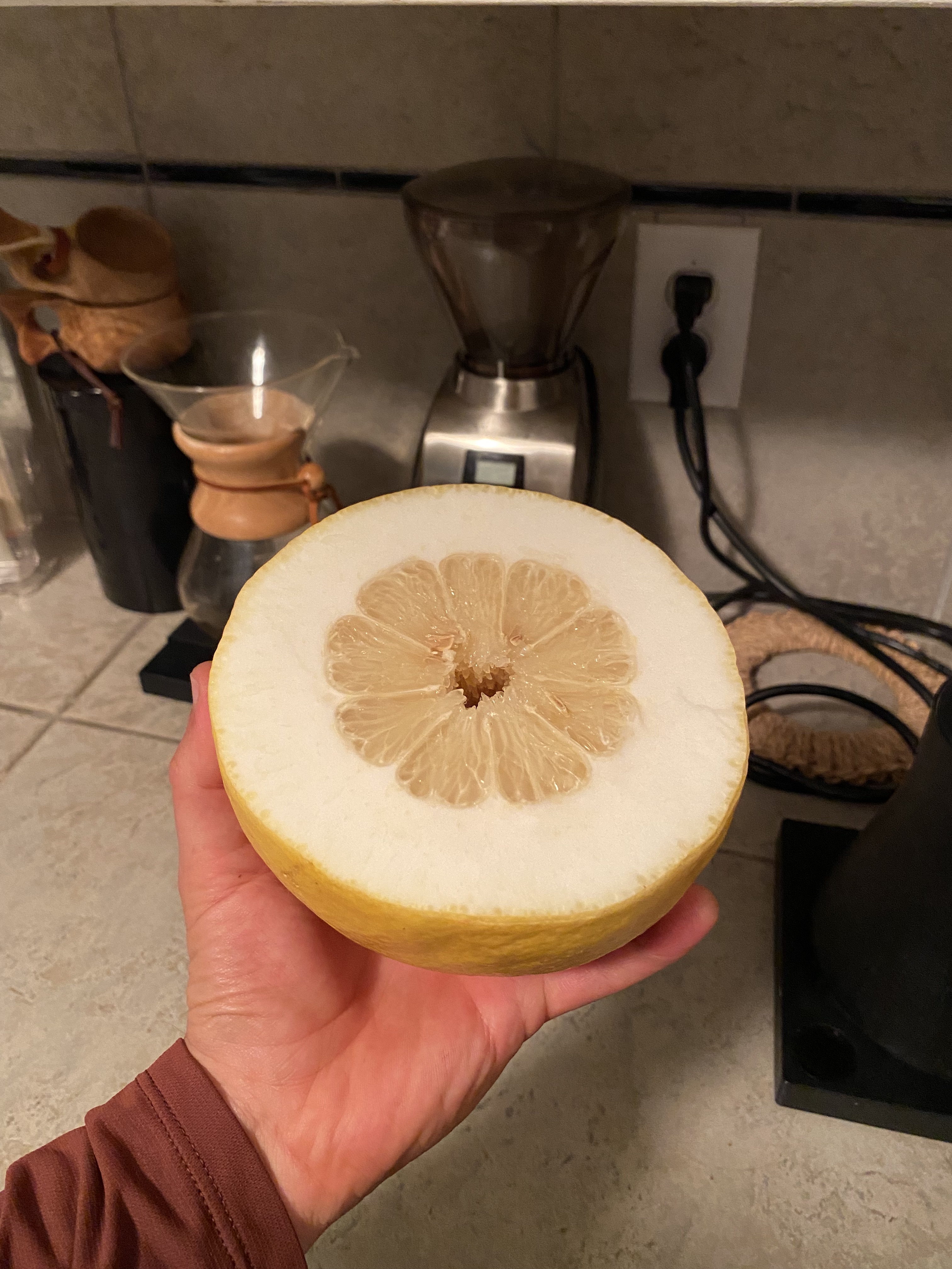 Ponderosa lemon sale