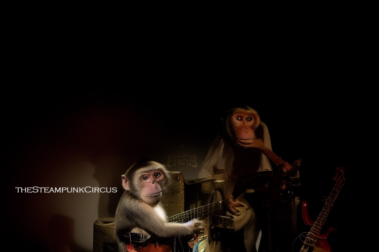 steampunkcircus's tweet photo. Groove with these funky monkeys at the Steampunk Circus in upcoming YouTube animation experiences. #bassmonkeys #funkymonkeys #aimfriende

#storyteller #artist #creator #lofi #DigitalArtist #AIart #discodiffusion #stablediffusion #ArtificialIntelligence #AI #amalgamaton https://t.co/IVVnttu8Im