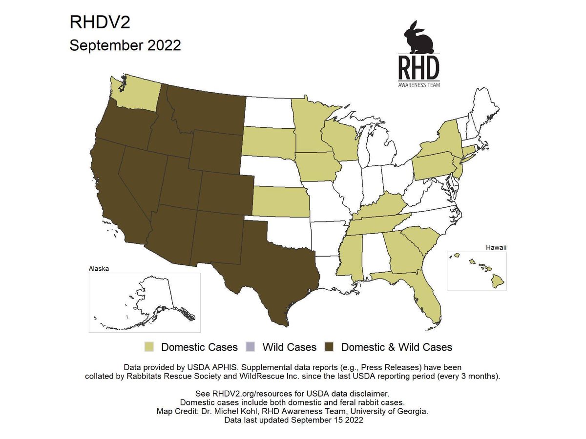 Current US RHDV2 map via rhdv2.org

Even indoor-only rabbits are at risk of RHDV2. The best way to protect your rabbit is to get them vaccinated. 💉

RHDV2 is serious &amp; extremely contagious, affecting rabbits of all ages. 🦠🐇

Learn more: rabbit.org/resources/rhdv/