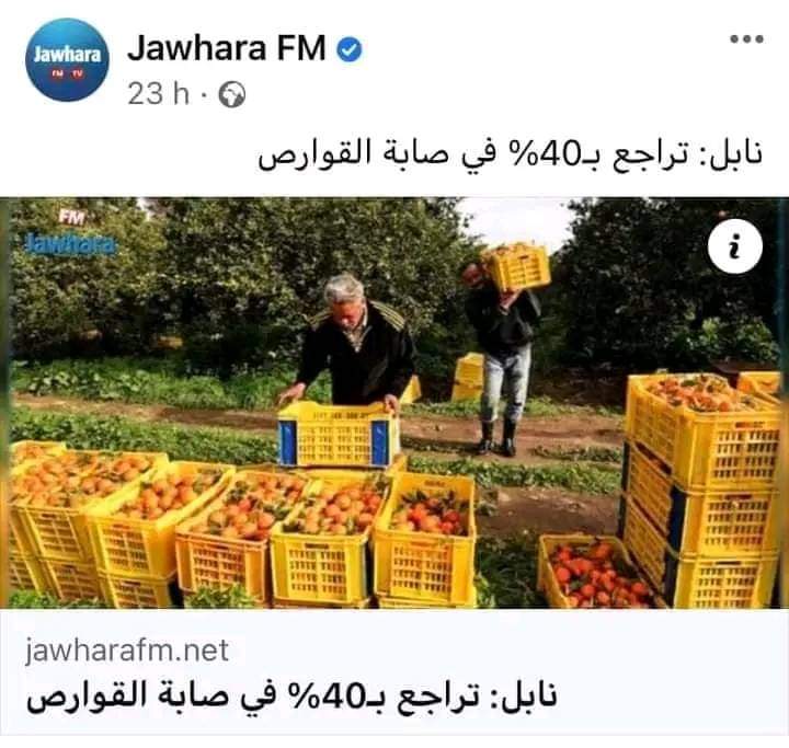 AlrasdAltwnsy's tweet photo. قيس سعيّد للتونسيين: اطمئنوا على مستقبلكم ، مستقبلكم في الصور 😂 https://t.co/v604HiiluI