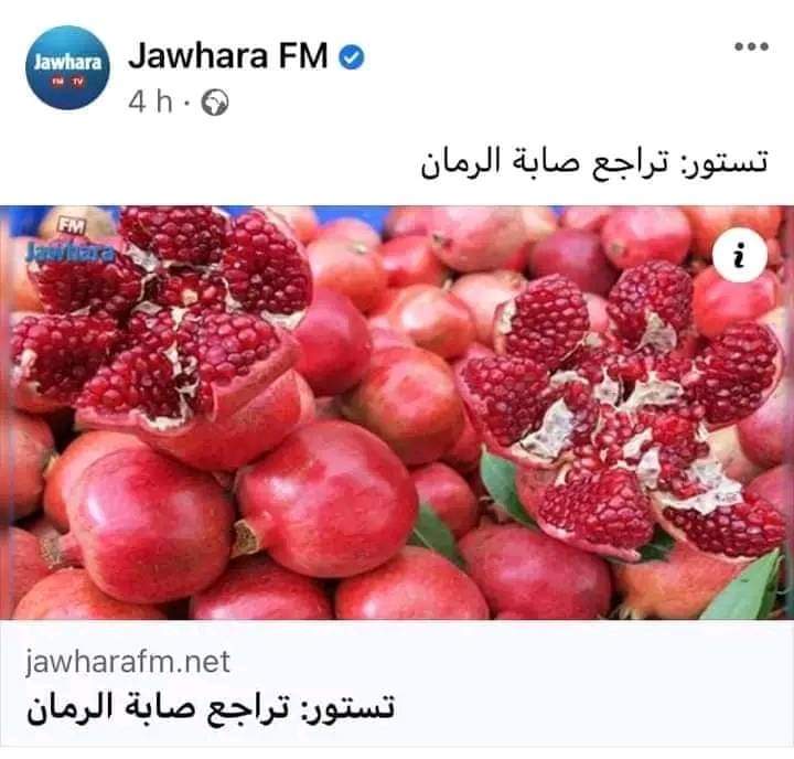 AlrasdAltwnsy's tweet photo. قيس سعيّد للتونسيين: اطمئنوا على مستقبلكم ، مستقبلكم في الصور 😂 https://t.co/v604HiiluI