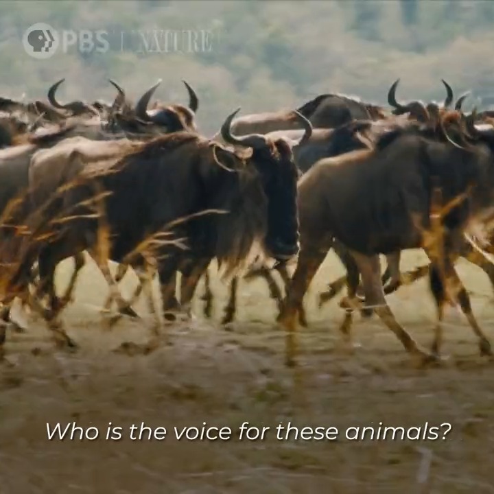 When Was The Great Migration In America