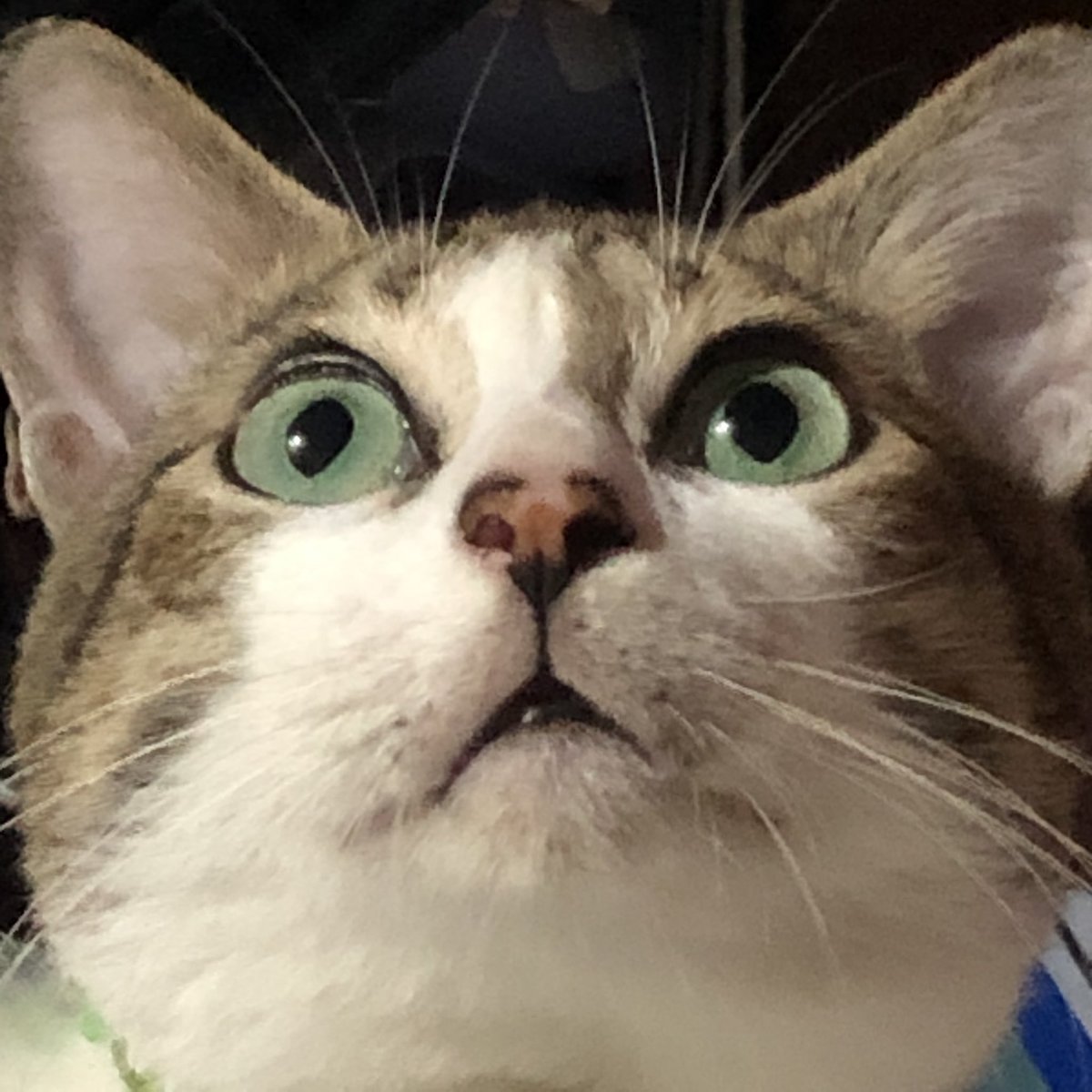 LAGAAAAA tweet media