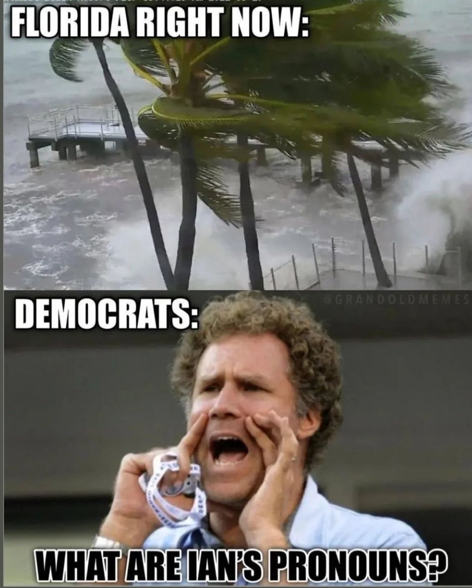 MichizzleM2's tweet image. 