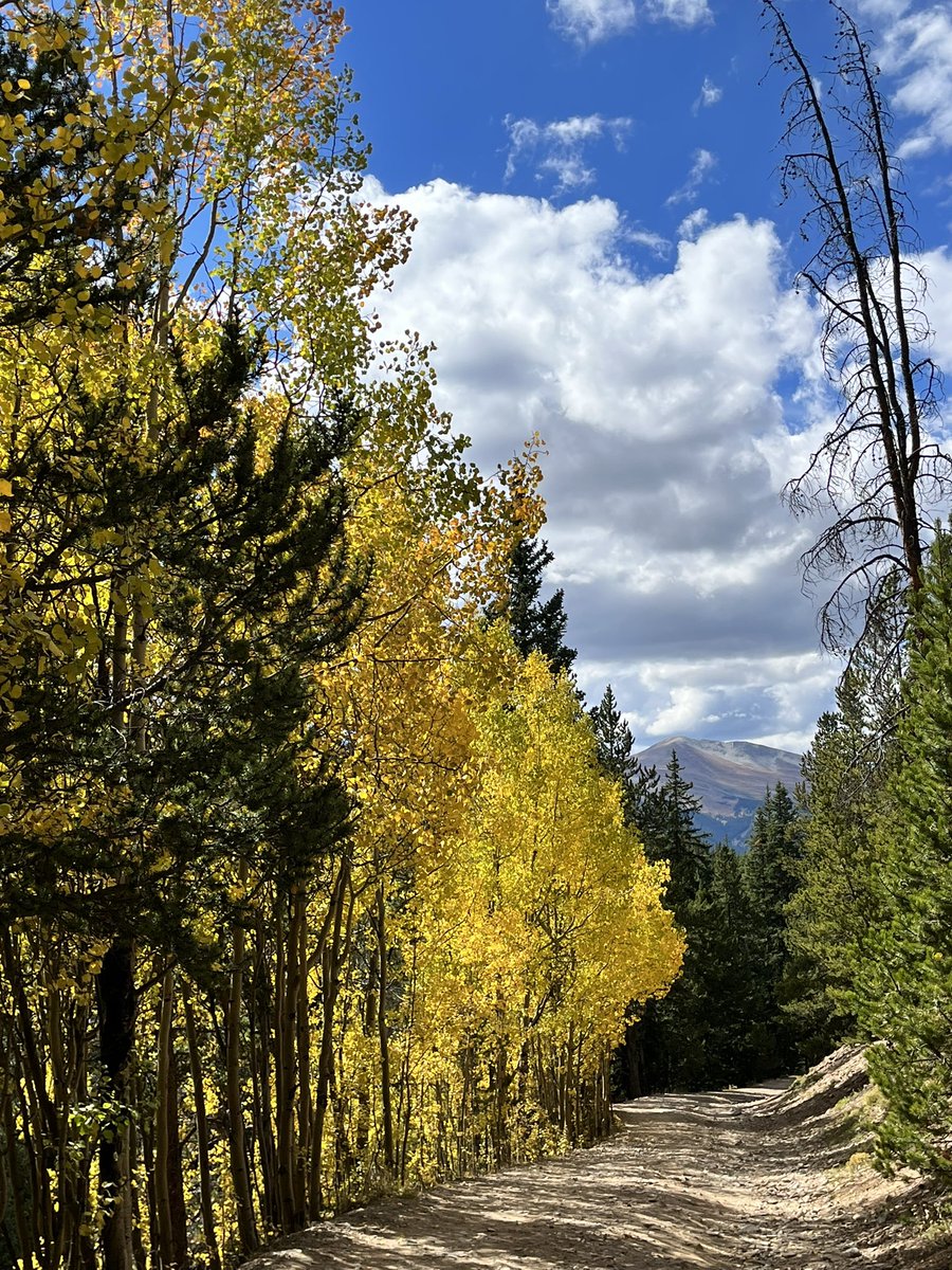 aryonnarichard's tweet photo. Loving the fall vibes in Breckenridge, Colorado ππ Donβt miss your chance to see all the beautiful colors π #fallincolorado #breckenridge #colorfulcolorado #fallvisuals https://t.co/H3Hhe5iGFK