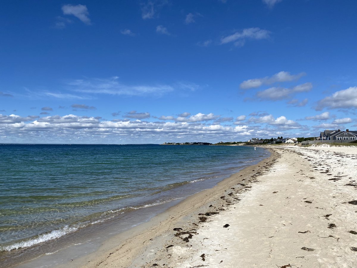 Erica Tuke Wagner (she/her) tweet media