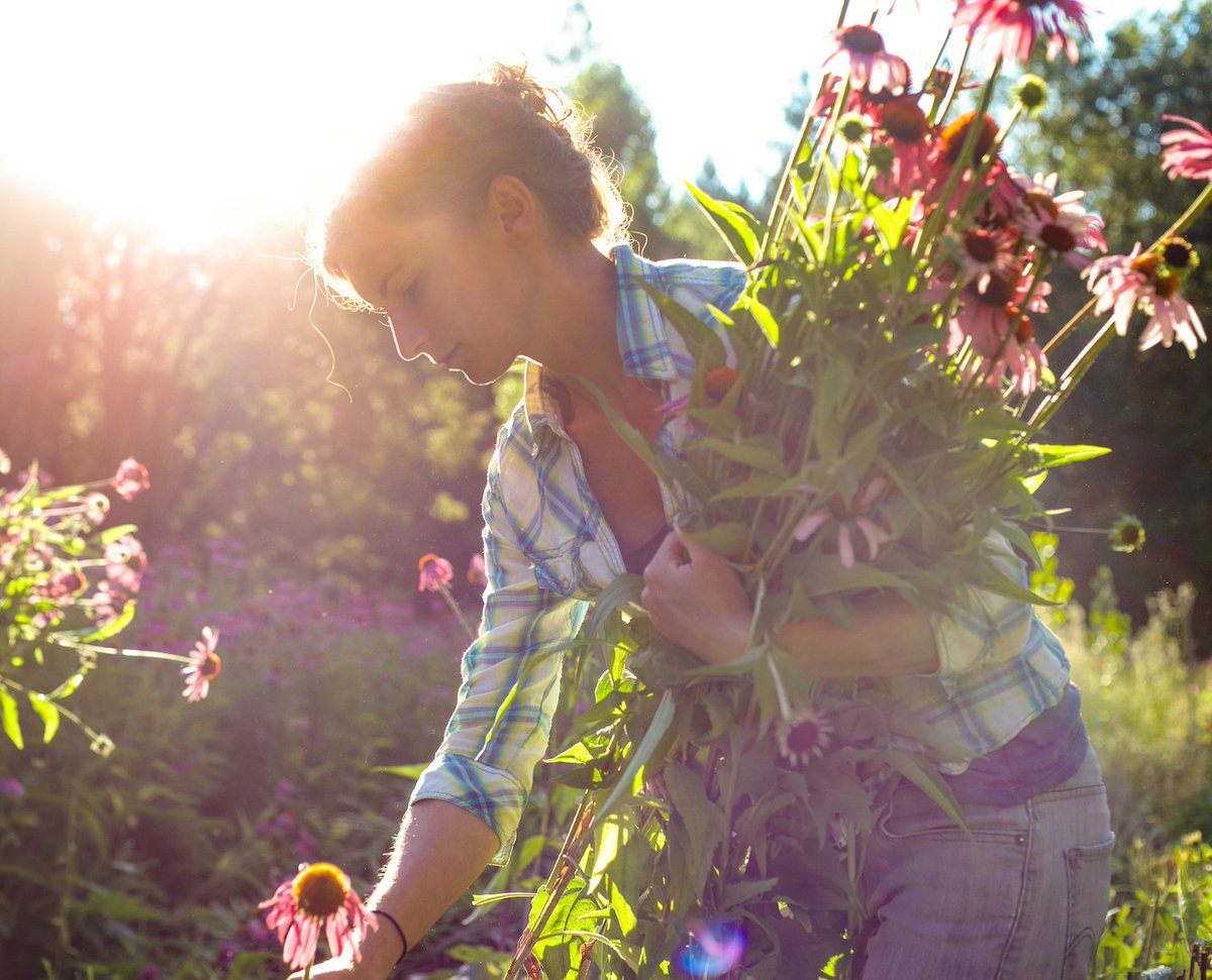 Herb Pharm tweet media