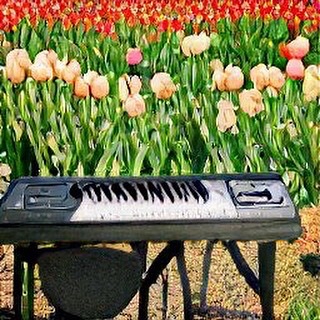 DopplerHunt's tweet photo. #dopplerhuntsforflowers
#dopplershuntforflowers https://t.co/GjffP1VDxL