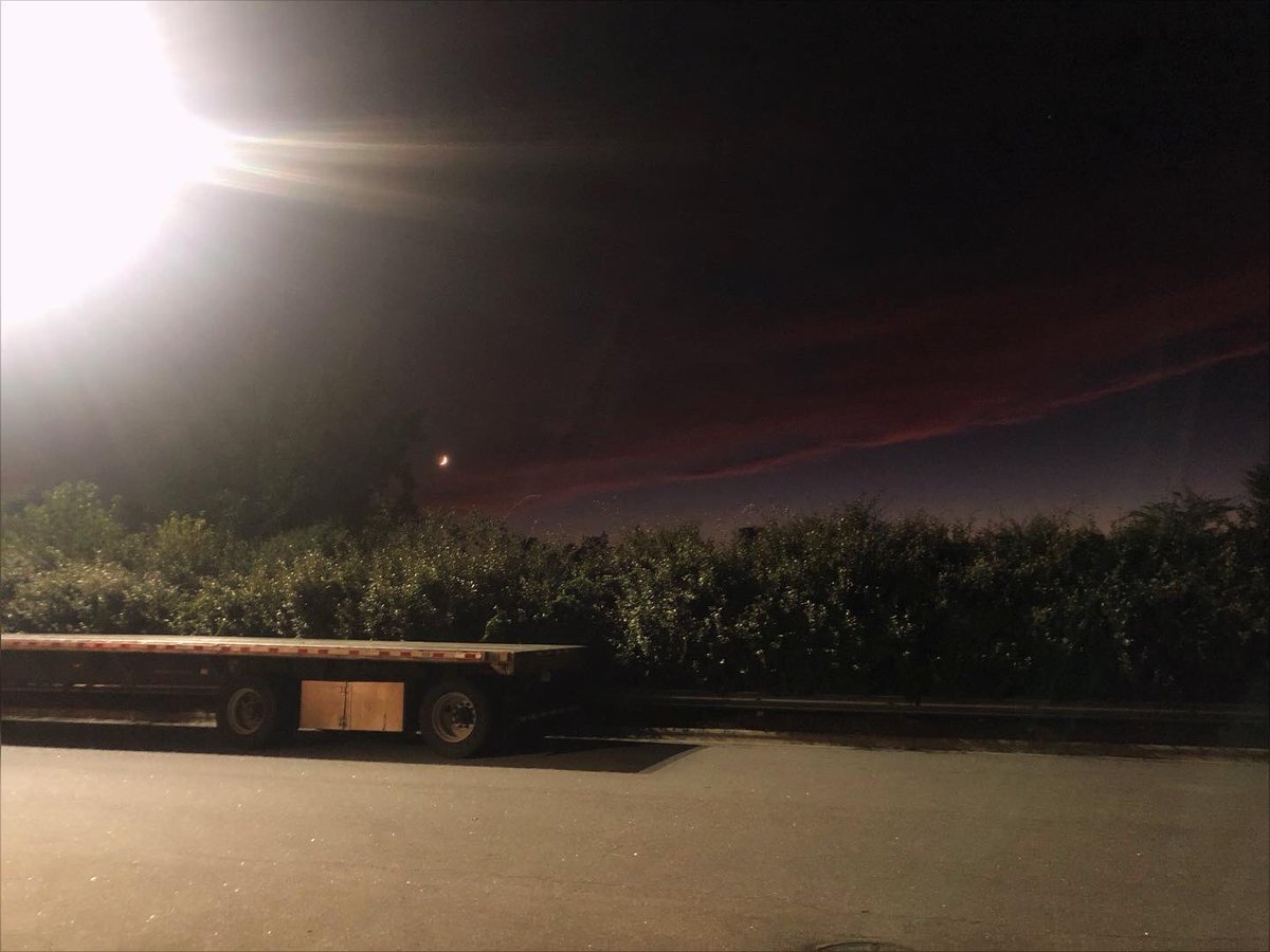 ~ 𝚃𝚊𝚕𝚔𝚒𝚗𝚐 𝚝𝚘 𝚝𝚑𝚎 𝚖𝚘𝚘𝚗 ~

🌙🌳🖤 #photography
#wannabephotographer