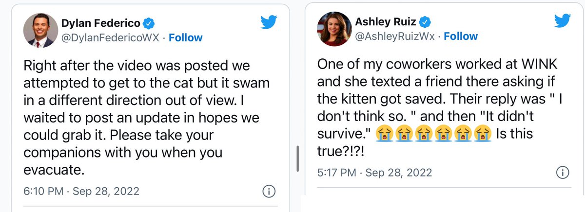 ResearchGigi's tweet photo. @mattlanza @sydneypersing @TaylorPetras @NicoleGabeTV @slwein No, it isn’t the same cat, because @DylanFedericoWX had already tweeted they didn’t save it. https://t.co/cCRdNJAx84