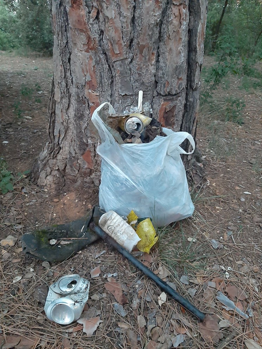 AmicSalva's tweet photo. Si vas a passejar al bosc, no hi deixis brossa. I si pots, recull-ne🙏 #Letscleaneurope https://t.co/2yQqDhbiPX