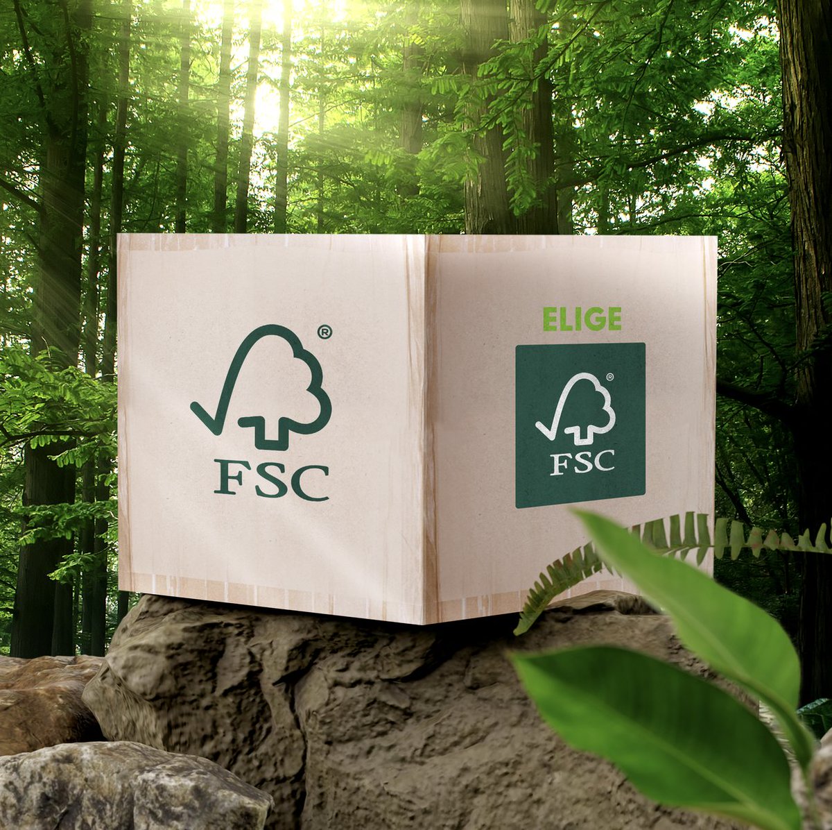 ReforestamosMx's tweet photo. ¡La etiqueta FSC® es la marca más reconocida, rigurosa y confiable de la silvicultura sostenible! Los consumidores saben que están tomando medidas positivas cuando eligen productos con certificación FSC. 🌿
#FSCForestWeek #SemanaDelBosqueFSC #EligeLosBosques #EligeFSC https://t.co/8JKVLm9oNS