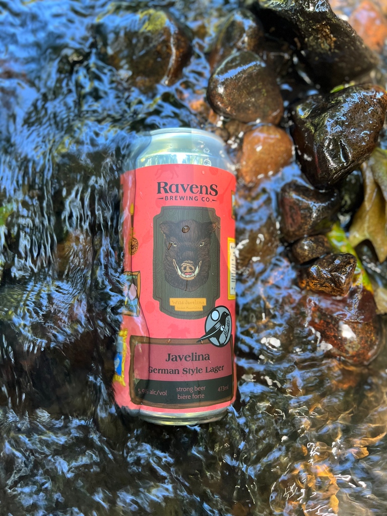 A good beer is all we need 🤝 

Have you tried the Javelina? Let us know below! ⬇️⬇️