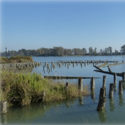 copeh_canada's tweet photo. Upstream is a place 🏞️ 
NEW teaching module! 
This teaching module provides a guide for designing a one-day, experiential workshop that explores the ecological and social contexts for health through a series of interactive activities and walking tours.
https://t.co/jf6eYcBv2P https://t.co/qSTJWAOIFV