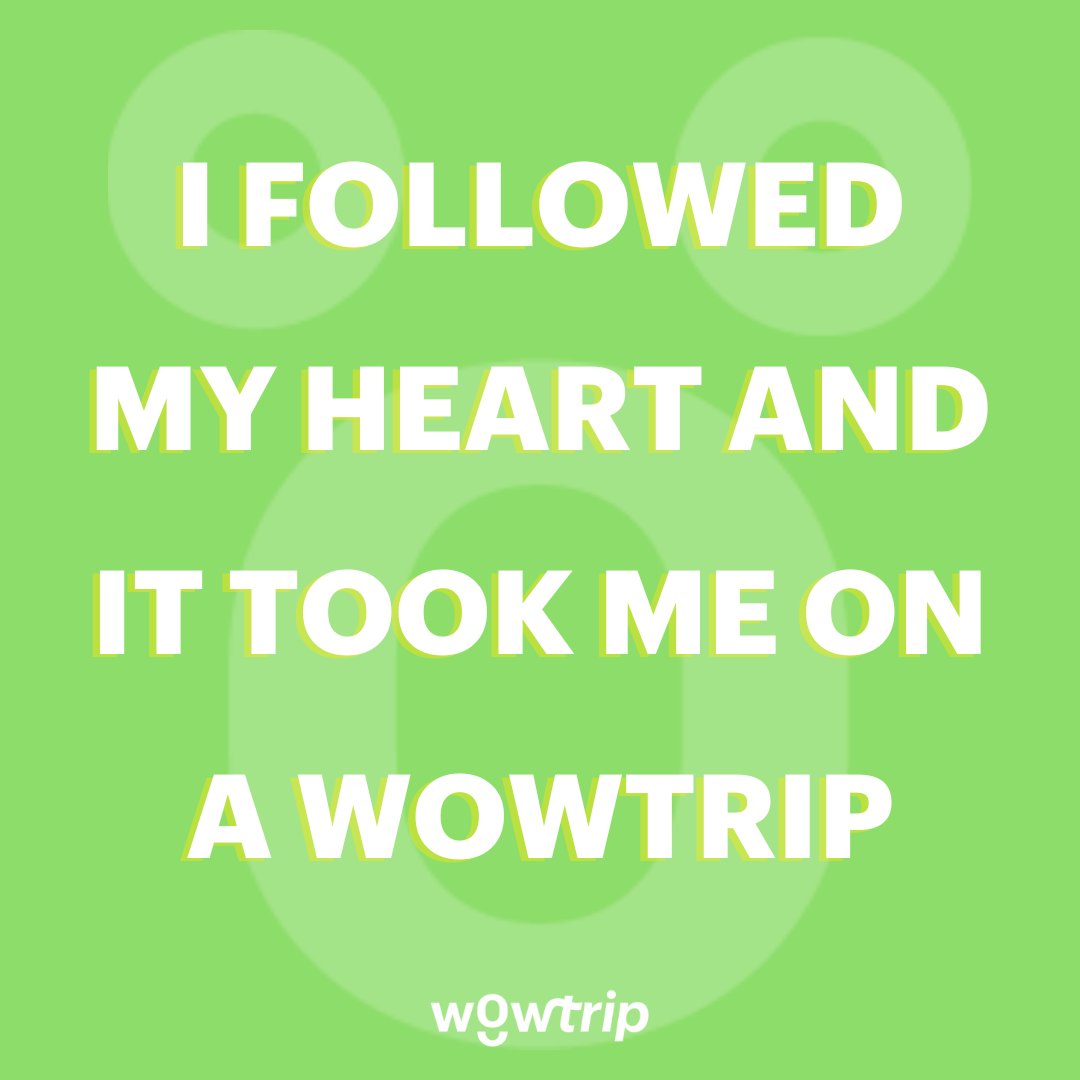 Wowtrip tweet media