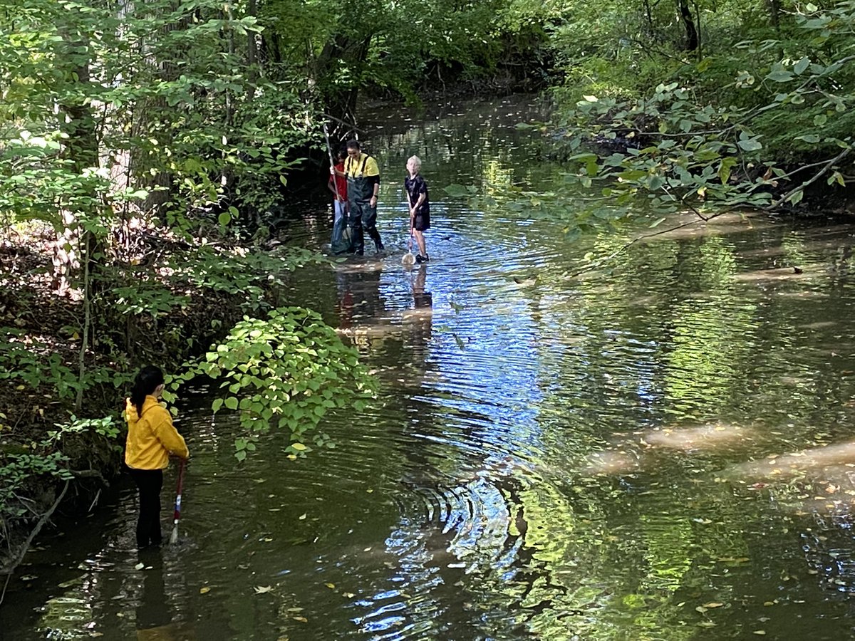 JayBilly2's tweet photo. What a beautiful day to do a #StreamStomp @bfes_ltps #bfrocks #STEM #@MrRudesClass @LTPS1 @KBurke4242 https://t.co/4RWgmRHCPI
