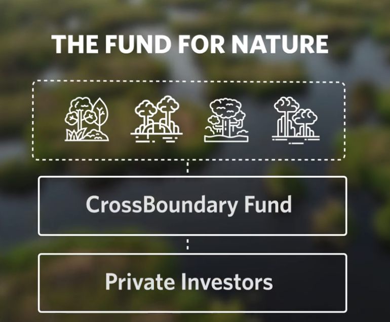 CrossBoundary's tweet photo. The Fund for Nature will offer investors access to a portfolio of nature-based #carbonprojects in Africa 🌍 🌱Natural climate solutions make up over one-third of the climate mitigation needed to keep warming below 2°C, yet they get less than 2% of global climate finance 📉 https://t.co/wClbv5Gpzp