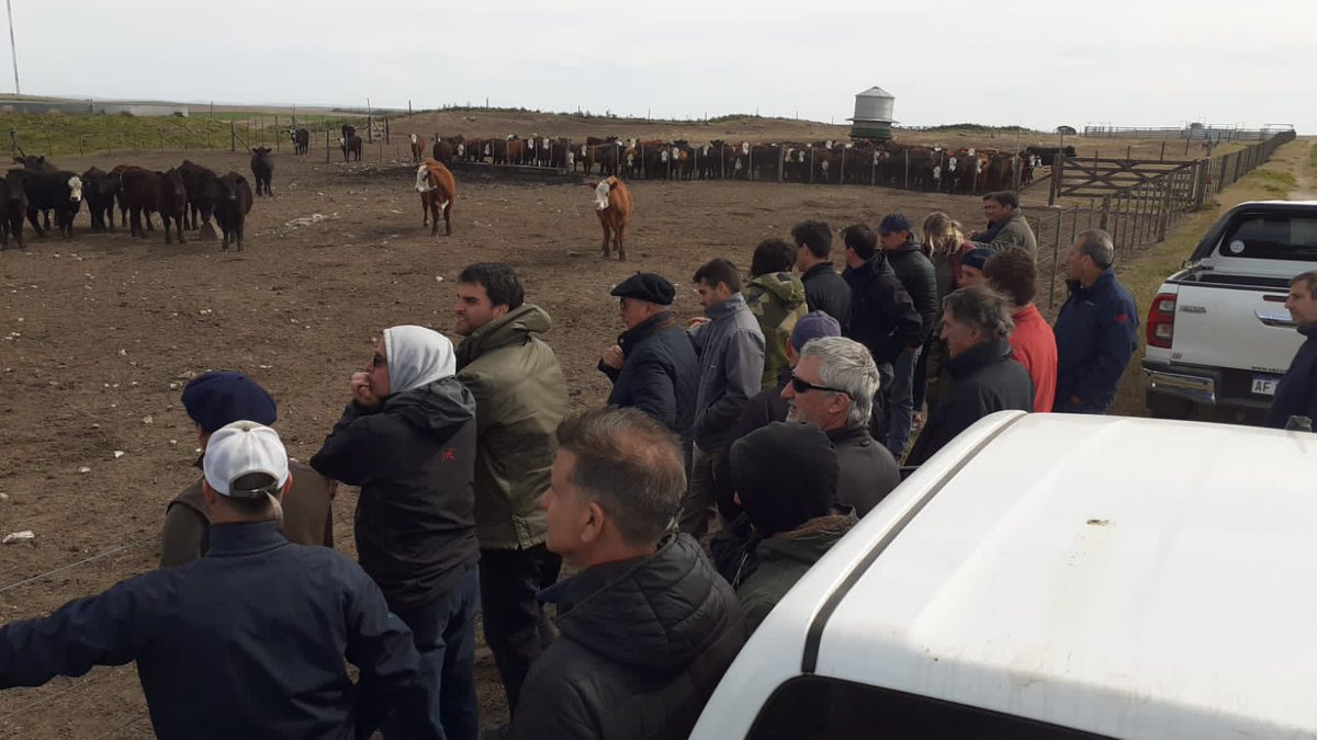 TandiliaReg's tweet photo. HOY 🗓 reunión mensual #Tandilia
Recorrida a campo
⛰Curvas de nivel
☘️Cultivos de servicio: Avena/vicia para pastoreo
🐮Corrales de engorde
Espacio empresa #Summitomo
Presentación de #Innventure -fondo de Inversión AgTech @MaycoMansilla https://t.co/o2rFqz04xs