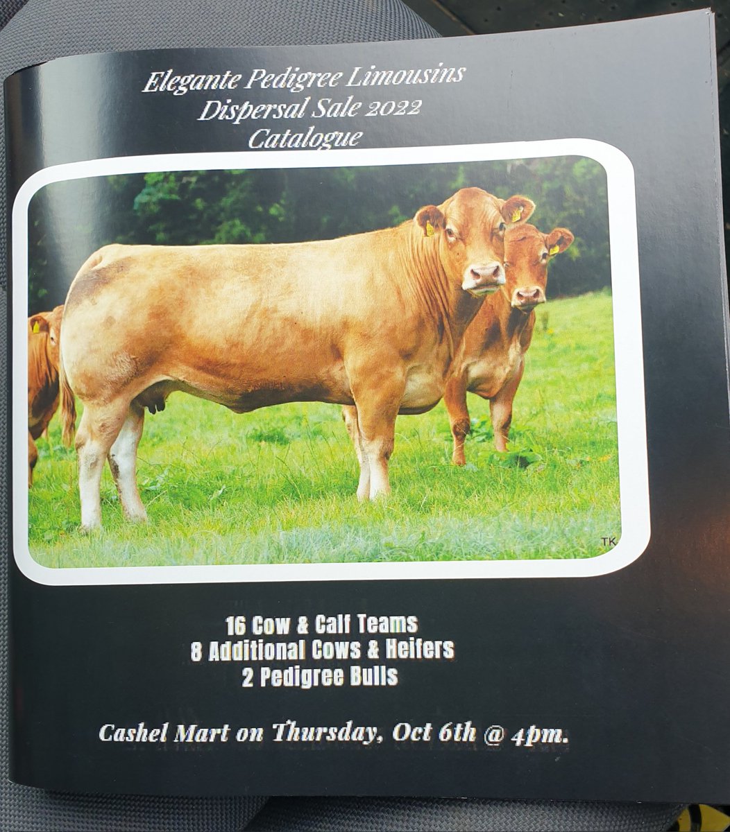 Mike Kinane tweet media