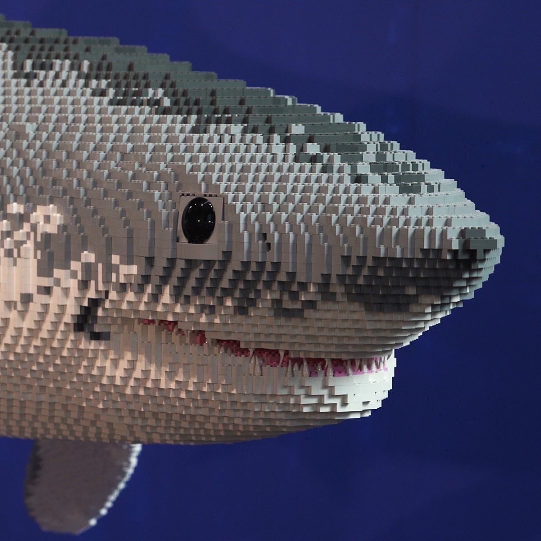 Don’t be surprised if you spot a 10ft shark down Cardiff bay. 🦈

itsoncardiff.co.uk/brick-sea-crea…